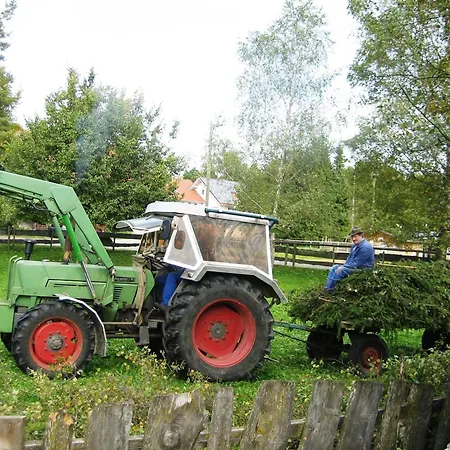 Mohnblume 아파트 Burggen