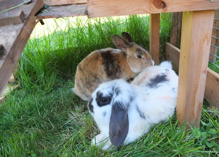 דירה Mohnblume Burggen